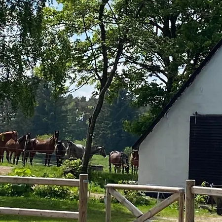 Bondehus - Dansk Bondehus Med Patina *