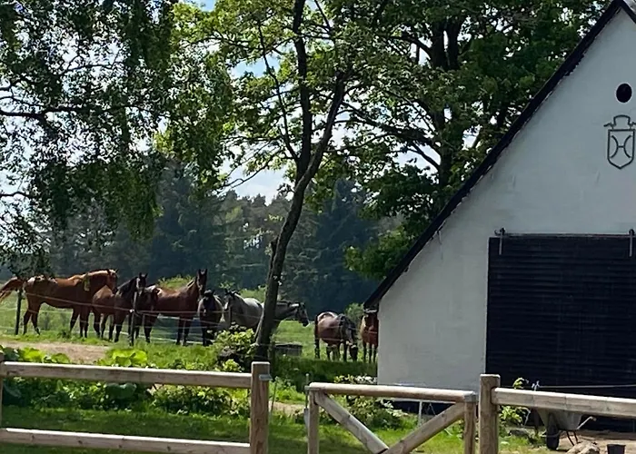 Bondehus - Dansk Bondehus Med Patina *